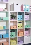 P+P PASTELINI pink Iratrend.P+P PASTELINI pink  7-281