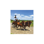 Képes falinaptár  220x330mm, Hungary, 2026.év