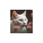 Képes falinaptár Top Timer Cicák 220x330mm,  2026.év