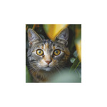 Képes falinaptár Top Timer Cicák 220x330mm,  2026.év