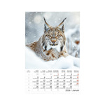 Képes falinaptár Top Timer Vadállatok 220x330mm,  2026.év