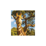 Képes falinaptár Top Timer Vadállatok 220x330mm,  2026.év