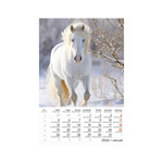 Képes falinaptár Top Timer Lovak, 2026.év