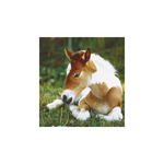 Képes falinaptár Top Timer Lovak, 2026.év