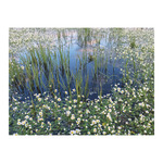 Top Timer T093 Magyarország vízei Falinaptár képes, 405mm x 320mm  2026.év