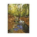 Top Timer T093 Ezerszínű Magyarország Falinaptár képes, 405mm x 320mm 2026.év