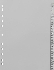 Sz&aacute;mregiszter műanyag A4 1-31 Official