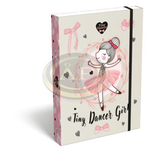 LIZZYSULI F&Uuml;ZETBOX TINY DANCER LOVELY BALLERINA A/5