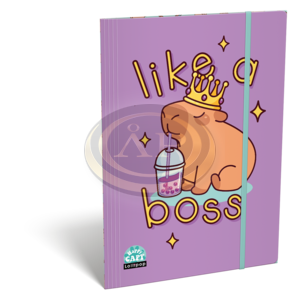 LIZZYSULI GUMIS MAPPA LOLLIPOP CAPYBARA A/4