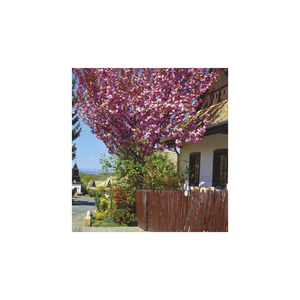 Képes falinaptár  220x330mm, Hungary, 2026.év