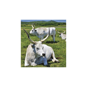 Képes falinaptár  220x330mm, Hungary, 2026.év