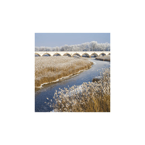 Képes falinaptár  220x330mm, Hungary, 2026.év