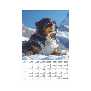 Képes falinaptár Top Timer Kutyák 220x330mm,  2026.év