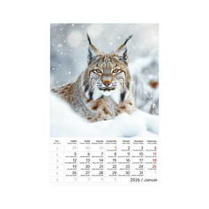 Képes falinaptár Top Timer Vadállatok 220x330mm,  2026.év