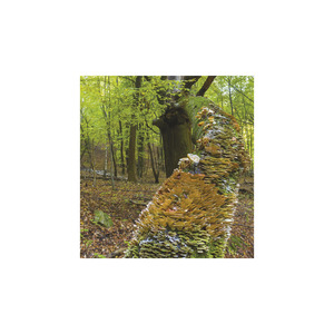 Képes falinaptár Top Timer Nemzeti Parkjaink 220x330mm 2026.év