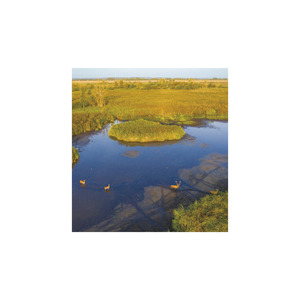 Képes falinaptár Top Timer Nemzeti Parkjaink 220x330mm 2026.év