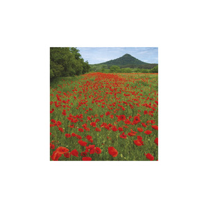 Képes falinaptár Top Timer Nemzeti Parkjaink 220x330mm 2026.év