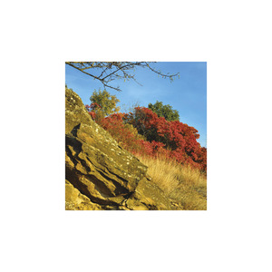 Képes falinaptár Top Timer Nemzeti Parkjaink 220x330mm 2026.év