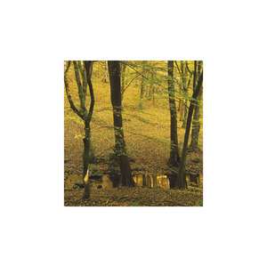 Képes falinaptár Top Timer Nemzeti Parkjaink 220x330mm 2026.év