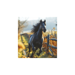 Képes falinaptár Top Timer Lovak, 2026.év