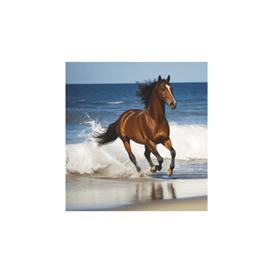 Képes falinaptár Top Timer Lovak, 2026.év