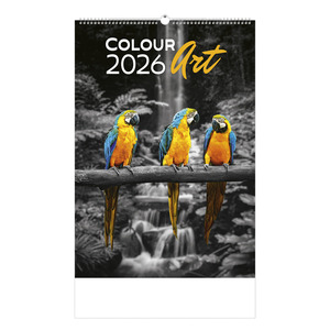 Képes falinaptár Top Timer 'Colour Art' 315x450mm,  2026.év