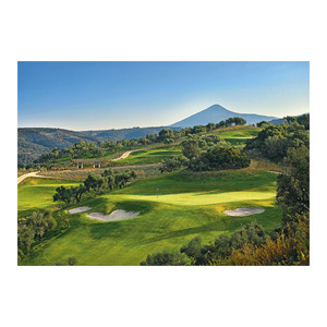 Képes falinaptár Top Timer 'GOLF' 485x340mm,  2026.év