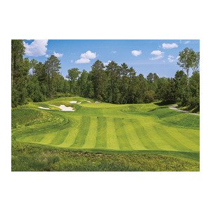 Képes falinaptár Top Timer 'GOLF' 485x340mm,  2026.év