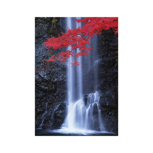 Képes falinaptár Top Timer NATURE EMOTIONS  315x450mm,  2026.év