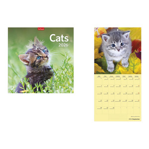 Képes falinaptár, Top Timer Cats, 290x580mm,  2026.év