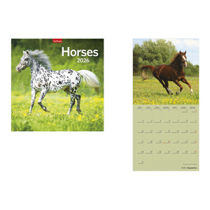Képes falinaptár, Top Timer Horses, 290x580mm  2026.év