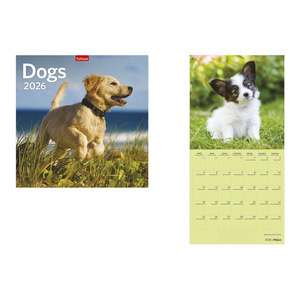 Képes falinaptár, Top Timer 'Dogs', 290x580mm 2026.év