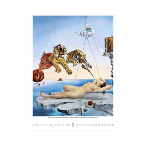 Képes falinaptár, Salvador Dali 420x560mm, 2026év