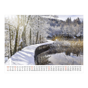 Top Timer T093 Sétány Falinaptár képes, 405mm x 320mm 2026.év