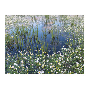 Top Timer T093 Magyarország vízei Falinaptár képes, 405mm x 320mm  2026.év