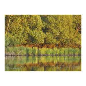 Top Timer T093 Magyarország vízei Falinaptár képes, 405mm x 320mm  2026.év