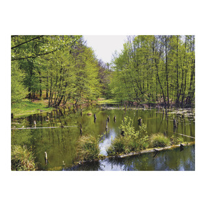 Top Timer T093 Magyarország vízei Falinaptár képes, 405mm x 320mm  2026.év