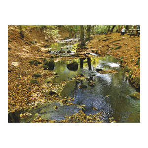 Top Timer T093 Magyarország vízei Falinaptár képes, 405mm x 320mm  2026.év