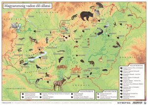 Könyökalátét, kétoldalas, A3, STIEFEL Magyarország vadon élő állatai